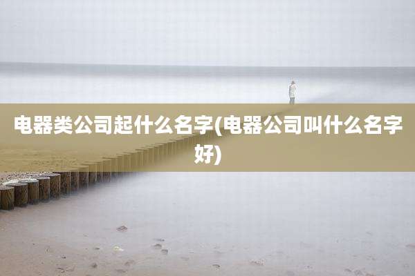 电器类公司起什么名字(电器公司叫什么名字好)