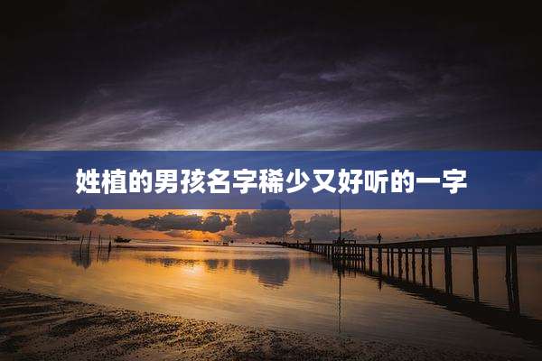 姓植的男孩名字稀少又好听的一字