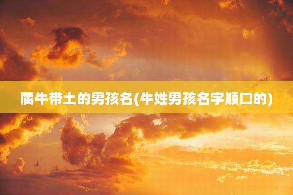 属牛带土的男孩名(牛姓男孩名字顺口的)