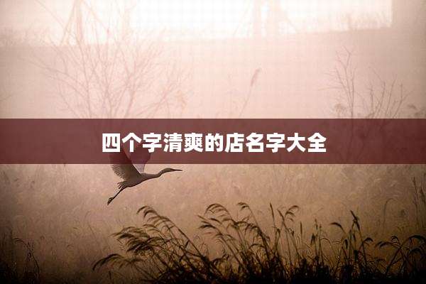 四个字清爽的店名字大全