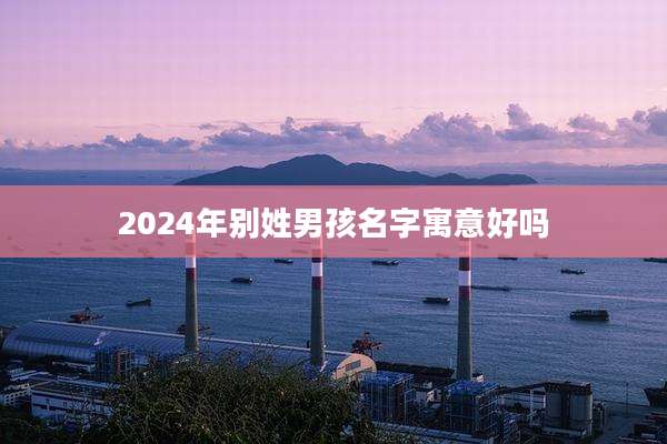 2024年别姓男孩名字寓意好吗