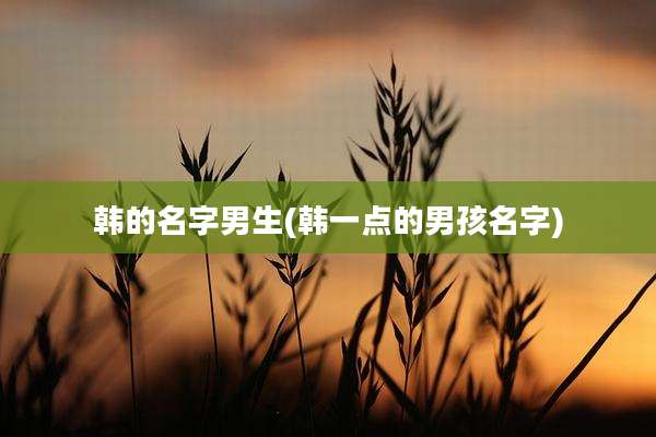 韩的名字男生(韩一点的男孩名字)