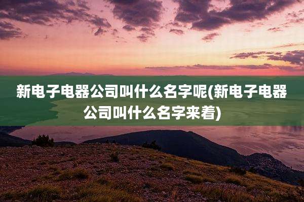新电子电器公司叫什么名字呢(新电子电器公司叫什么名字来着)