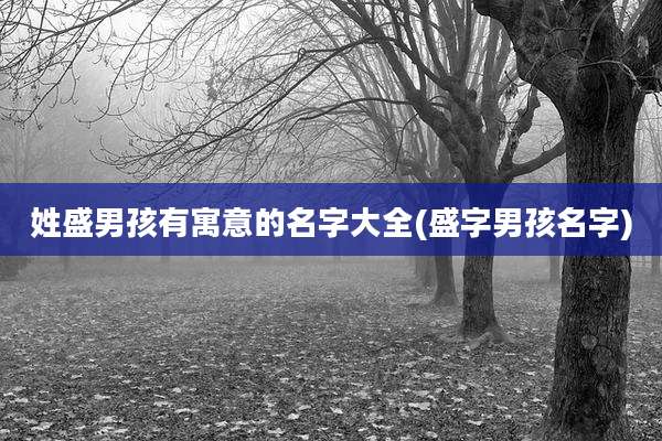 姓盛男孩有寓意的名字大全(盛字男孩名字)