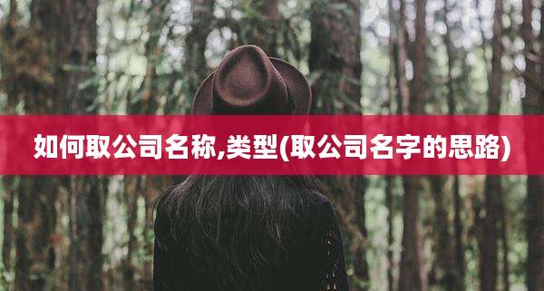 如何取公司名称,类型(取公司名字的思路)