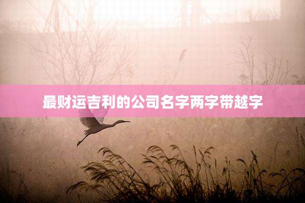 最财运吉利的公司名字两字带越字