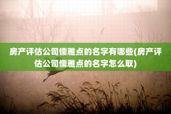 房产评估公司儒雅点的名字有哪些(房产评估公司儒雅点的名字怎么取)