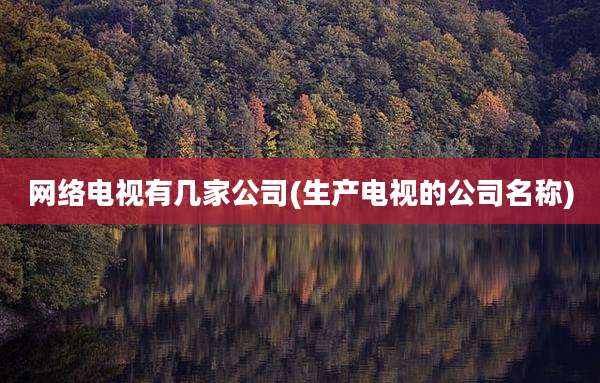 网络电视有几家公司(生产电视的公司名称)