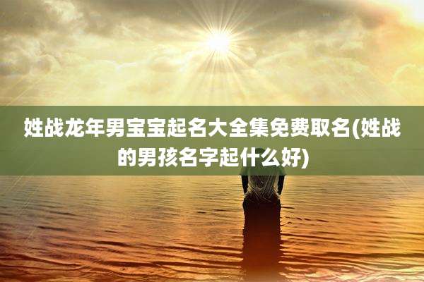 姓战龙年男宝宝起名大全集免费取名(姓战的男孩名字起什么好)