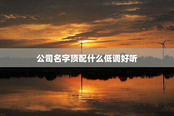 公司名字顶配什么低调好听