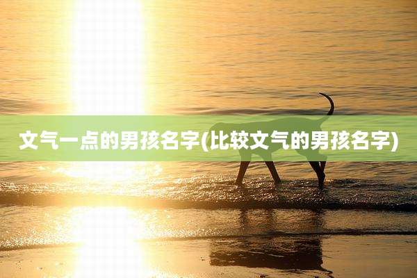 文气一点的男孩名字(比较文气的男孩名字)