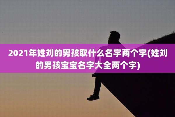 2021年姓刘的男孩取什么名字两个字(姓刘的男孩宝宝名字大全两个字)