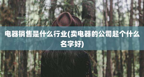 电器销售是什么行业(卖电器的公司起个什么名字好)