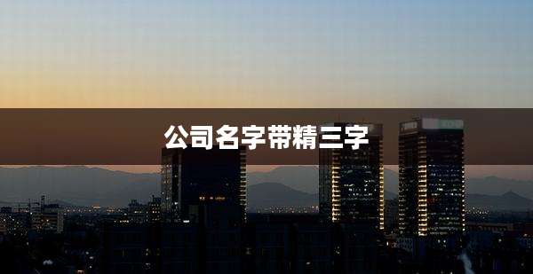公司名字带精三字