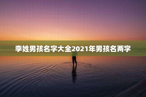李姓男孩名字大全2021年男孩名两字
