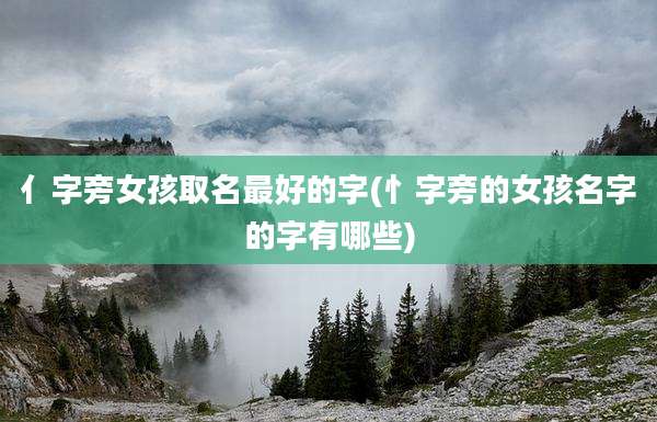 亻字旁女孩取名最好的字(忄字旁的女孩名字的字有哪些)
