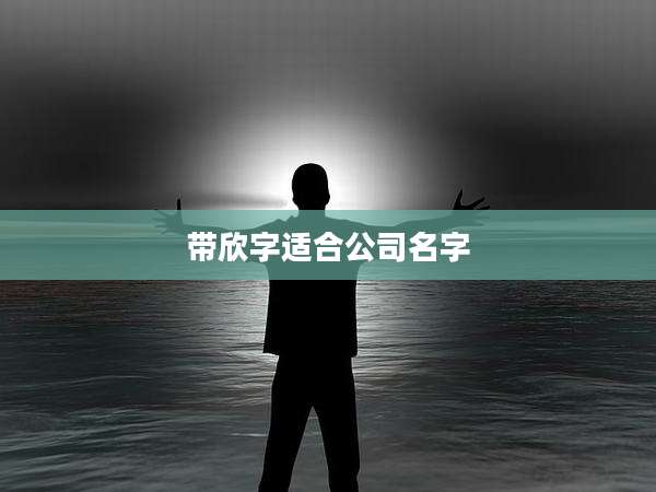 带欣字适合公司名字