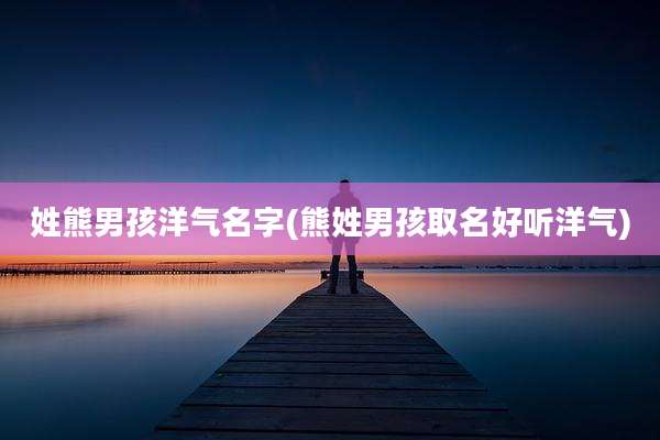 姓熊男孩洋气名字(熊姓男孩取名好听洋气)