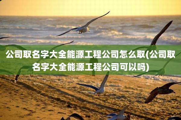 公司取名字大全能源工程公司怎么取(公司取名字大全能源工程公司可以吗)
