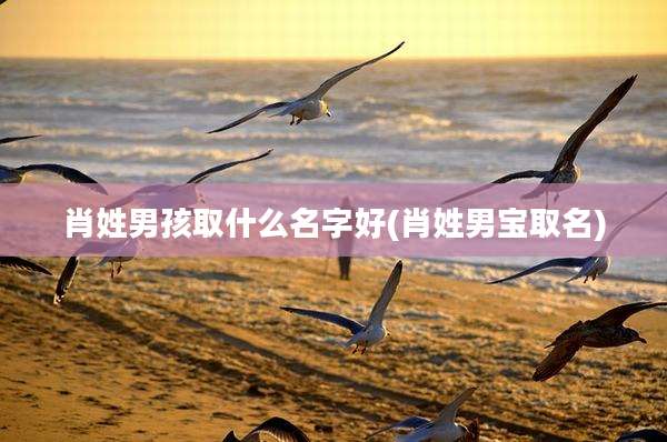 肖姓男孩取什么名字好(肖姓男宝取名)