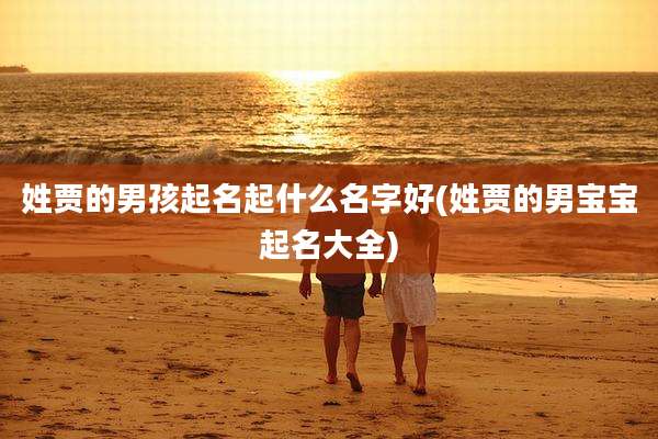 姓贾的男孩起名起什么名字好(姓贾的男宝宝起名大全)