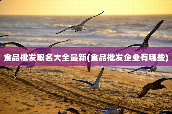 食品批发取名大全最新(食品批发企业有哪些)