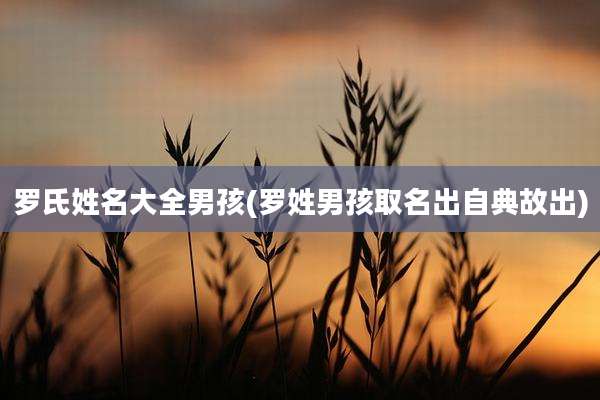 罗氏姓名大全男孩(罗姓男孩取名出自典故出)