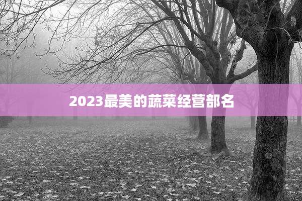 2023最美的蔬菜经营部名