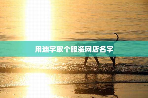 用迪字取个服装网店名字