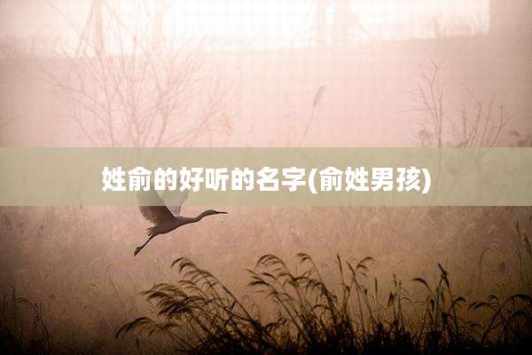 姓俞的好听的名字(俞姓男孩)