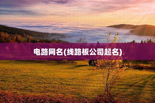 电路网名(线路板公司起名)