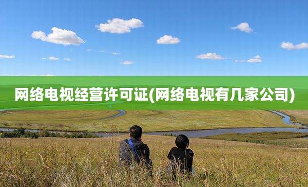 网络电视经营许可证(网络电视有几家公司)