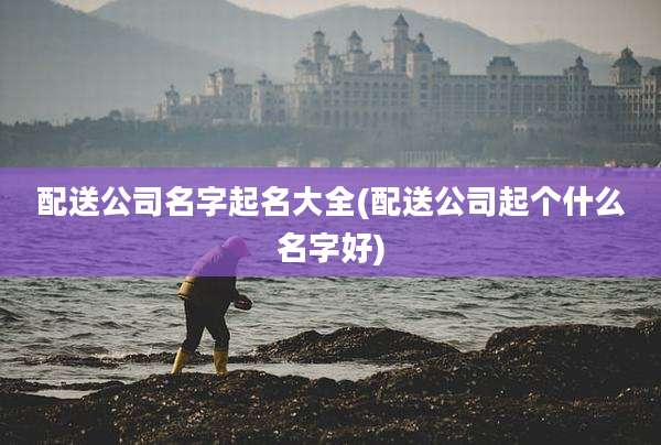 配送公司名字起名大全(配送公司起个什么名字好)