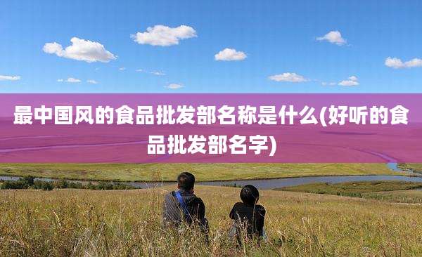 最中国风的食品批发部名称是什么(好听的食品批发部名字)