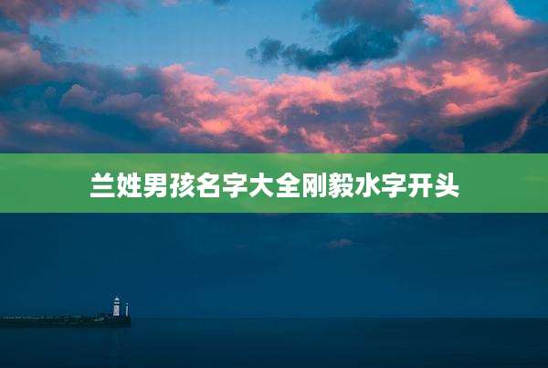 兰姓男孩名字大全刚毅水字开头
