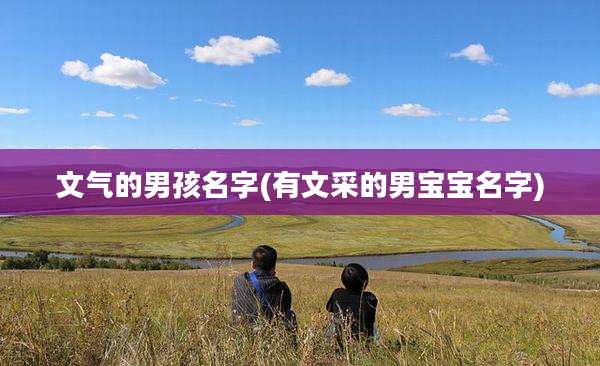 文气的男孩名字(有文采的男宝宝名字)