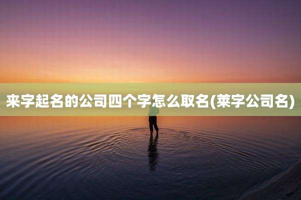 来字起名的公司四个字怎么取名(莱字公司名)