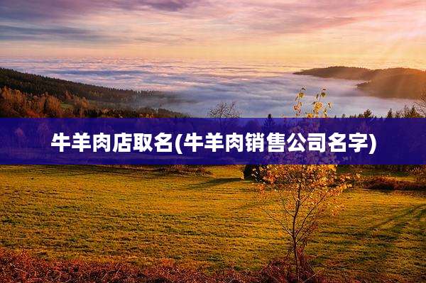 牛羊肉店取名(牛羊肉销售公司名字)