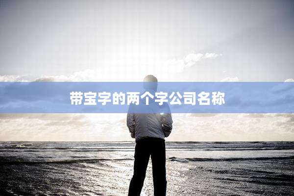 带宝字的两个字公司名称