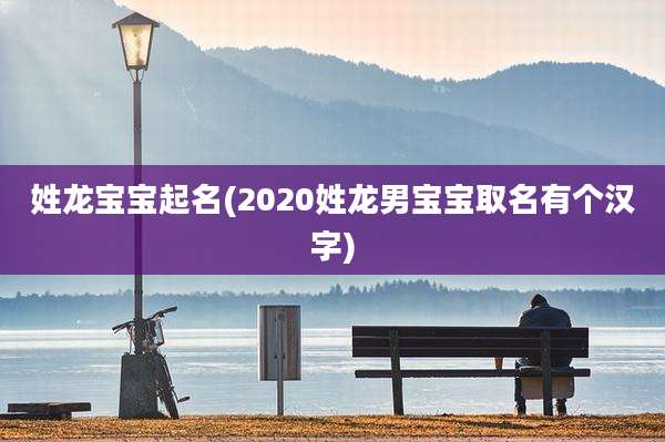 姓龙宝宝起名(2020姓龙男宝宝取名有个汉字)