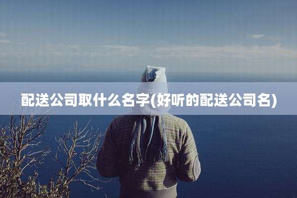 配送公司取什么名字(好听的配送公司名)