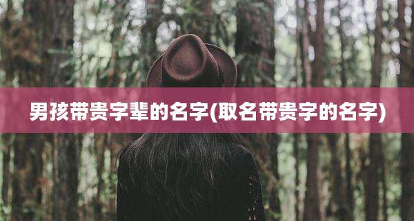 男孩带贵字辈的名字(取名带贵字的名字)