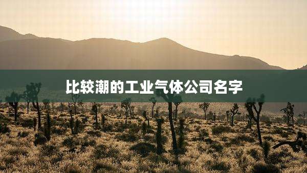比较潮的工业气体公司名字