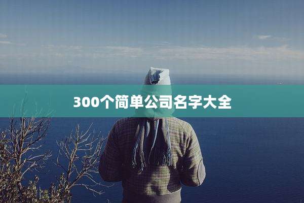 300个简单公司名字大全