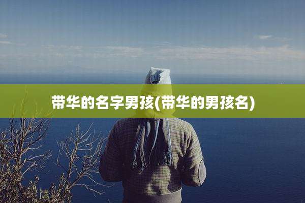 带华的名字男孩(带华的男孩名)