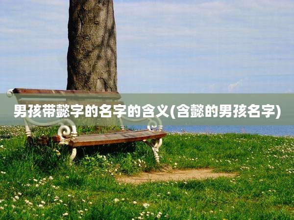 男孩带懿字的名字的含义(含懿的男孩名字)