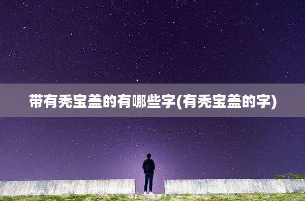 带有秃宝盖的有哪些字(有秃宝盖的字)