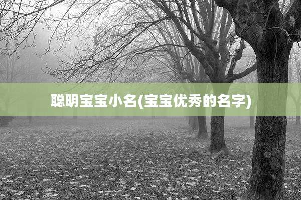 聪明宝宝小名(宝宝优秀的名字)