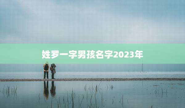 姓罗一字男孩名字2023年