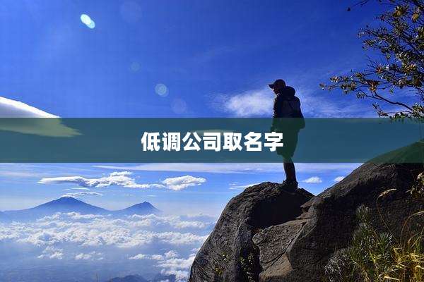 低调公司取名字